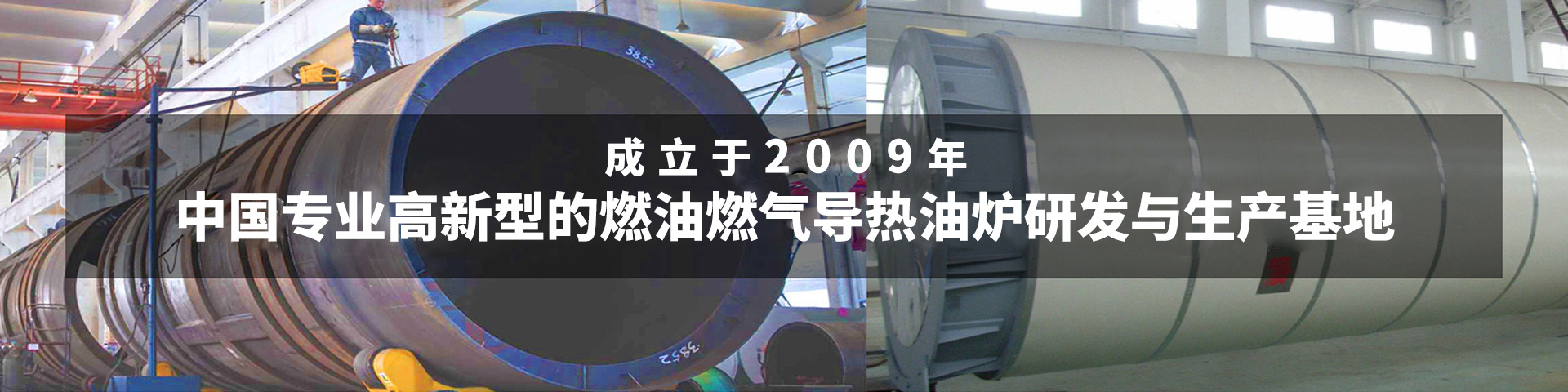 燃氣導熱油鍋爐